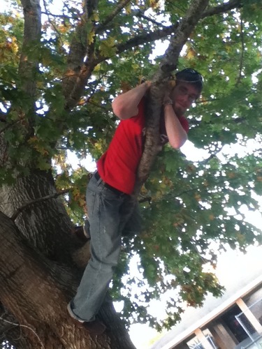 mikeneal89's profile picture. 