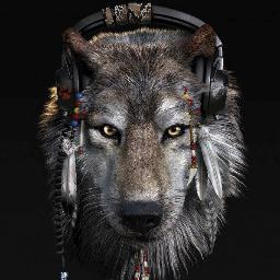 magmaldaia's profile picture. 