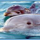 Esther Goetz - @koolsurf - Twitter