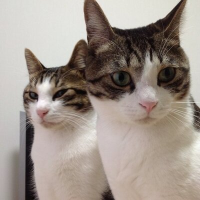 28kgダイエット成功 いちごです Ken Twitter