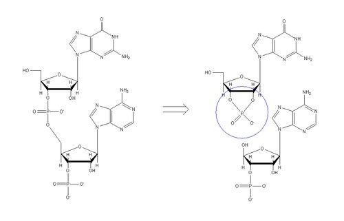 TheRNAWorld's profile picture. 