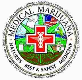 Medical Cannabis Activist/ Collective Director / Consultant/ Founder of Green Group/ Medical Cannabis Cultivator