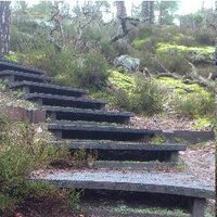 Der Holzbaublog (@der_holzbaublog) Twitter profile photo