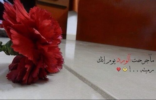 مـٓن بعتِـني مات الوصل.. لا ترجع لي مهما حصل جرحتني.. وارخصتني وبطعنتك عذبتني ... لا تجي تبكي ندم يكفي علي جرح والم طعنه..غدر من الظهر ..