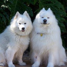 Human Rights, Animal Rights, Ban Live Exports. Appreciating our beautiful planet & living life my way.   🐕🐳💜