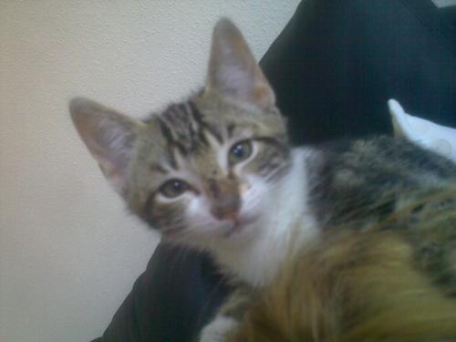 losjalix Profile Picture