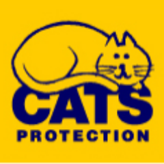 Colne Valley Cats Protection Branch is run by a Committee of Volunteers all unpaid and working for the welfare of Cats in our Area. #catsprotection