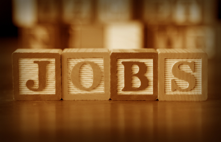 We are the jobs division of TheCareerKing's subsidiary: CareerAdvisorDaily. We provide job updates, job articles and advice for your career.