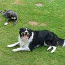 terry goble - @terrygoble2 - Twitter