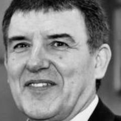 co-founder of C3S SCE 
member of the Berlin constitutional court
solicitor