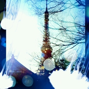 quisum_a's profile picture. 