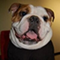 bart ross (@bartsross) 's Twitter Profile Photo bart ross (@bartsross) 's Twitter Profile Photo