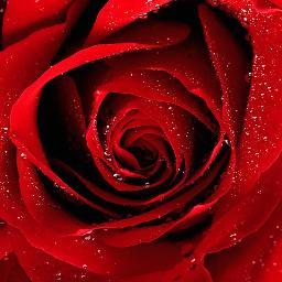 sono una persona solare, non sopporto le persone false ed ipocrite.Amo la vita, i colori della natura e quando sono triste... basta il sorriso di un bambino !