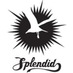 splendid music (@splendidmusic) Twitter profile photo