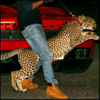 ᵀʳᵅ ᴬᵑᵅ ԌƦᴘ                    [NAWAF@̴.ИɪКΣИ ] [*CZ*]