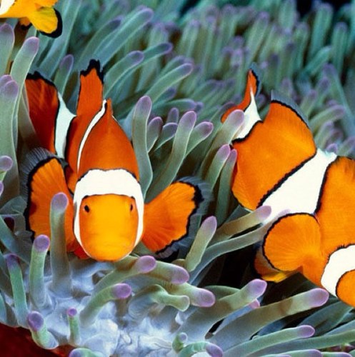 stepworkgift's profile picture. 