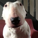 Jeff Colgan - @JeffColgan - Twitter