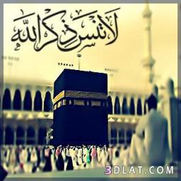 1111Ysss's profile picture. 