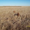 Jeff Beard - @jbhawk92 - Twitter