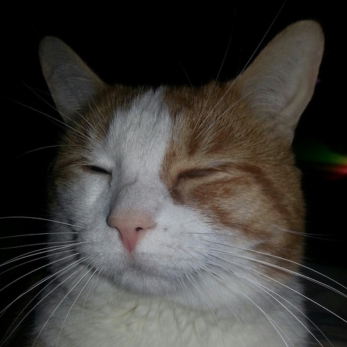 cuznik's profile picture. 