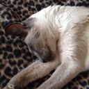 Clare price - @PriceClarepr40 - Twitter