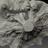 starry_expanse's profile image