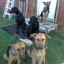 Caroline Watkins - @CWatty82 - Twitter