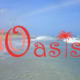 Handmade jewelry made from seashells collected from the beautiful beaches of FL, as well as featured pieces.