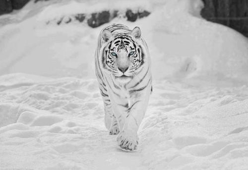 Bady84209668's profile picture. 