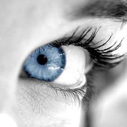 EstuaryDesign's profile picture. We are a Company Specialising in all your needs for Design and Print. From Posters to Flyers, Leaflets to Promotional Banners, Popups and Business Cards.