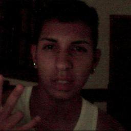 Vamo viver .