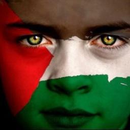 florian_butcher's profile picture. 