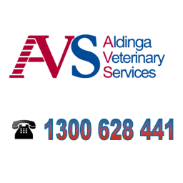 We are dedicated to maintaining and improving the quality of life and experience of pets. Call us 1300 628 441