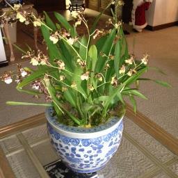 buttomfeeder's profile picture. Looking for the bottom and willing to wait for that RUN