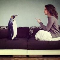 eskisevgilininyenisi (@eskininyenisii) Twitter profile photo