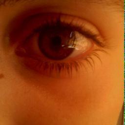 Fran_castello23's profile picture. @Unamaluleeramas como forma de vida.Dando guerra desde el 2000.Gente que se mete conmigo=gente sin vida