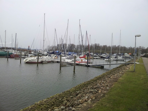 strijensas's profile picture. 