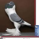h_mida_2007@yahoo.co (@0102723554) Twitter