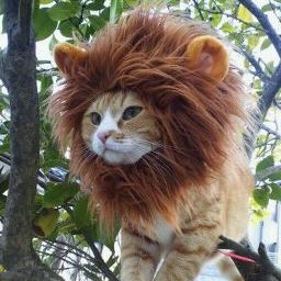zQwQs Profile Picture