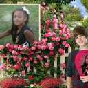 Daisha Johnson - @Daisha8602 - Twitter