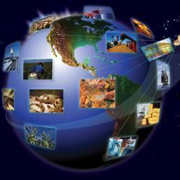 I am a Husband, Father, Friend, and the owner/CEO of AW Trading Inc. We deal in every and all commodities.