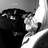 Ednoize's profile image