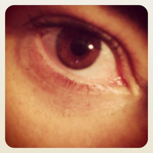 ninadesantis's profile picture. 