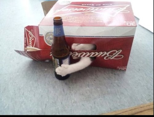 Caff1994's profile picture. 