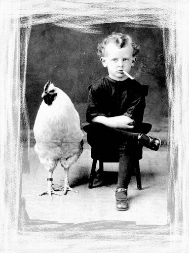 It's official...there's another vintage chicken out there in the twitter world.  I thought I was the one and only,,.