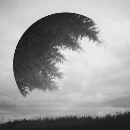 Rutinas_'s profile picture. Medidas. Sangre. Números y mierda. Una Srta. Sognatore más que jodida.