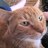 chrsturbo's profile image