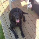 Leanne Foster - @leannefoster10 - Twitter