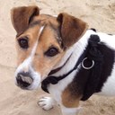 Sandra Sharp - @sandsharp - Twitter