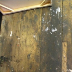 MaryannDuran10's profile picture. 